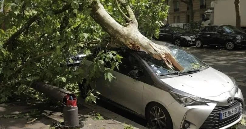 Fransa’da fırtınaların ardından 59 bin hanede elektrik kesintisi sürüyor