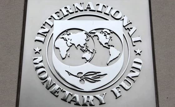 IMF, serbest yatırım fonlarının küresel piyasalardaki artan önemi ve risklerine dikkati çekti