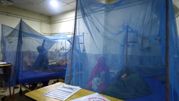 Bangladeş'te yıl başından bu yana dang humması nedeniyle ölenlerin sayısı 364'e çıktı