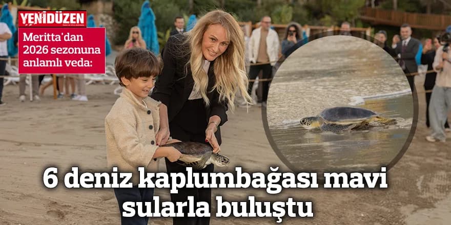 6 deniz kaplumbağası mavi sularla buluştu