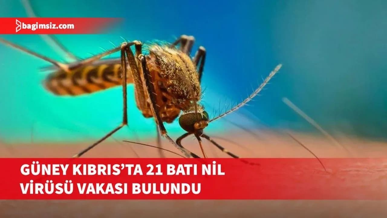 Güney Kıbrıs'ta son 7 günde 21 Batı Nil Virüsü vakası tespit edildi