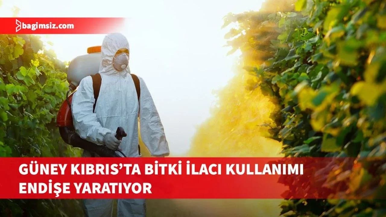 Güney Kıbrıs’ta bitkisel ve hayvansal ürünlerde bulunan bitki ilacı miktarı endişe yaratıyor