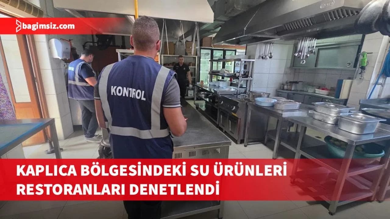 Kaplıca bölgesindeki su ürünleri restoranları denetim yapıldı