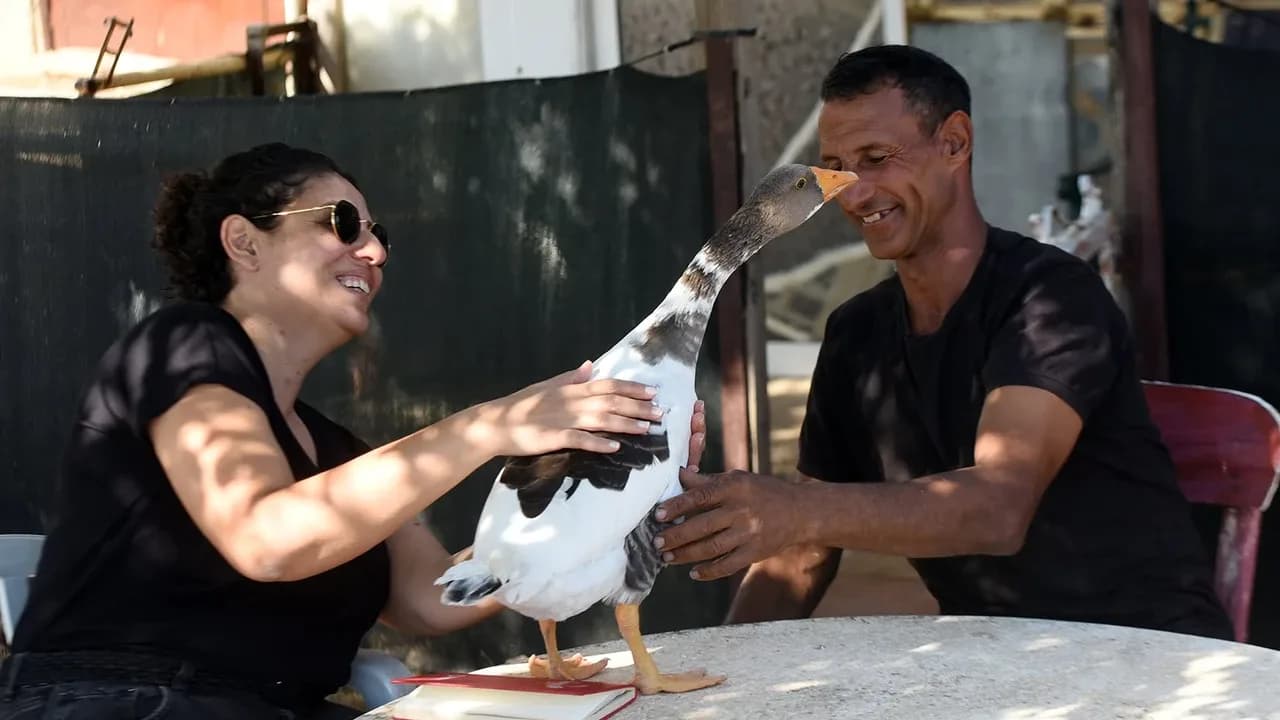 Tümer Debreli ve kazı Cimcime’nin sıra dışı dostluğu