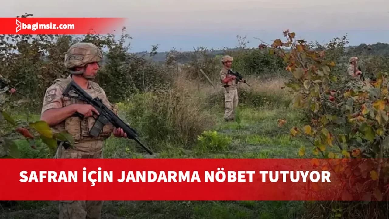Türkiye’de Karabük’ün Safranbolu ilçesinde yetiştirilen safranın kilosu 900 bin lirayı buldu