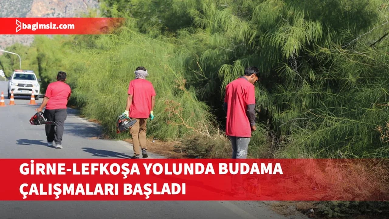 Girne-Lefkoşa yolunda ağaç budama çalışmaları başladı