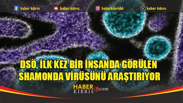 DSÖ, ilk kez bir insanda görülen Shamonda virüsünü araştırıyor