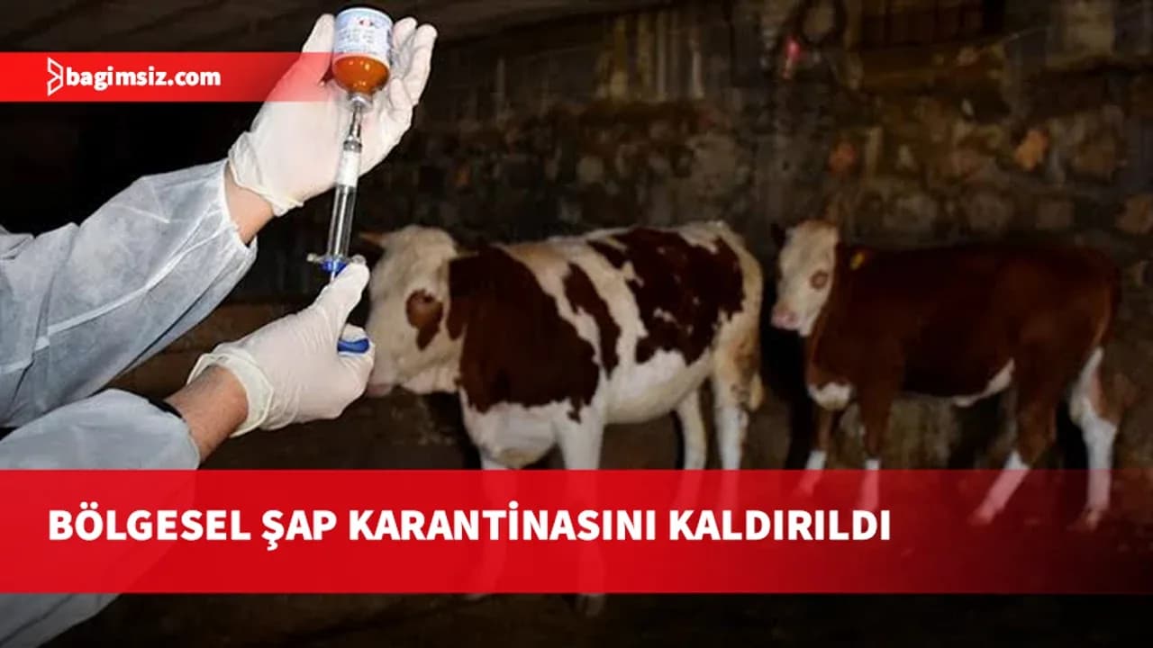 Şap hastalığı nedeniyle uygulanan bölgesel karantina kaldırılıyor