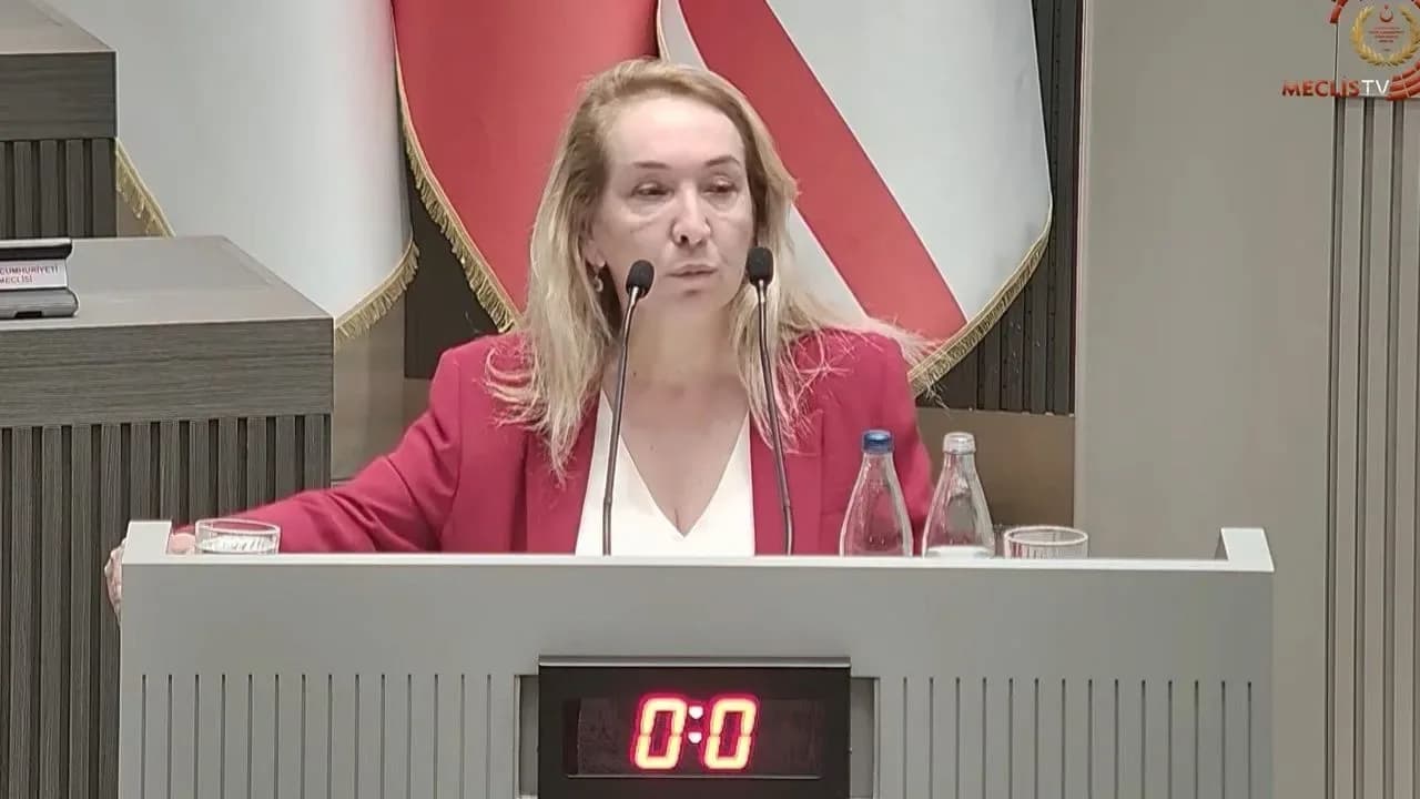 Besim: Hasta hakları yasal güvence altına alınmalı