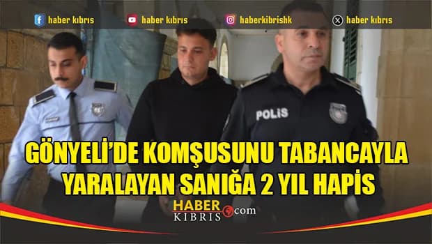 Komşusunu tabancayla yaralayan Tayyar Alpdağ’a 2 yıl hapis