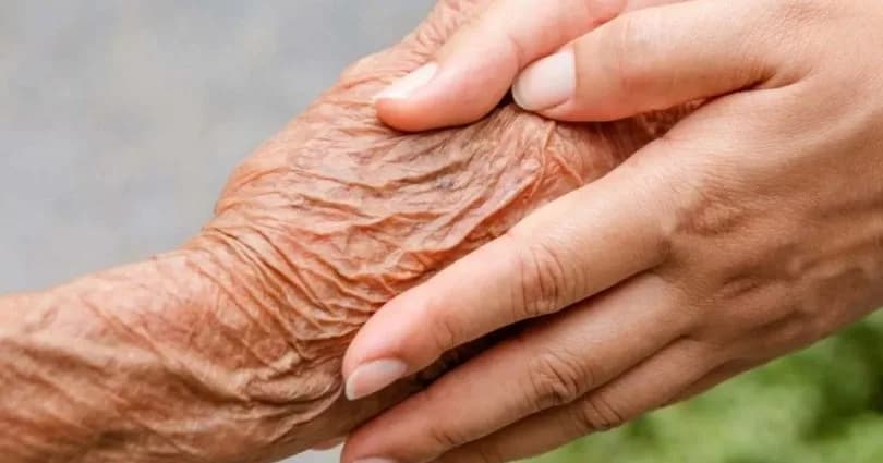 Güney Kıbrıs’ta 20-64 yaş arası bireyler toplam nüfusun yüzde 61,6’sına ulaştı