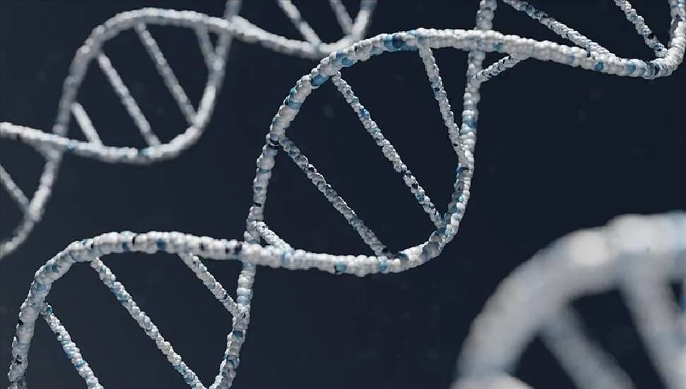 Kaybolan 11 Yunan askerinin yakınlarından DNA örnekleri alındı