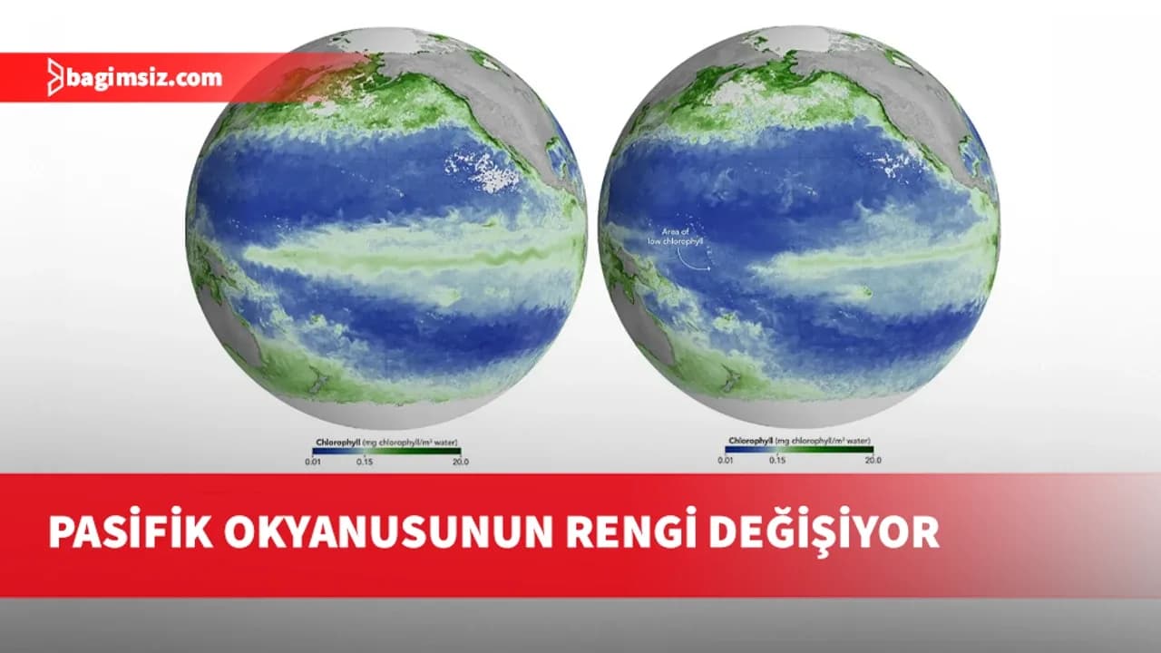 NASA verileri ortaya koydu: Pasifik okyanusu yeşilden koyu maviye dönüyor