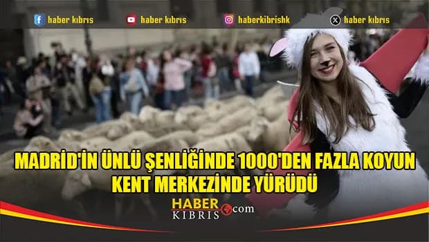 Madrid'in ünlü şenliğinde 1000'den fazla koyun kent merkezinde yürüdü