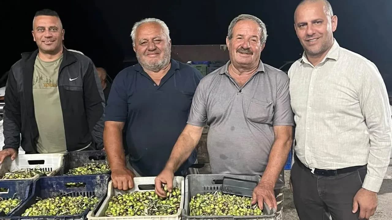Büyükkonuk Zeytin Kooperatifi 28 üyeden 250 üreticiye ulaştı