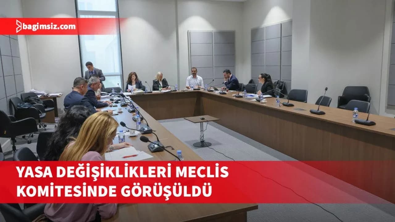 Güvenlik kamu görevlileri ve motorlu araç satıcıları ve ithalatçılarıyla ilgili yasa değişiklikleri meclis komitesinde görüşüldü