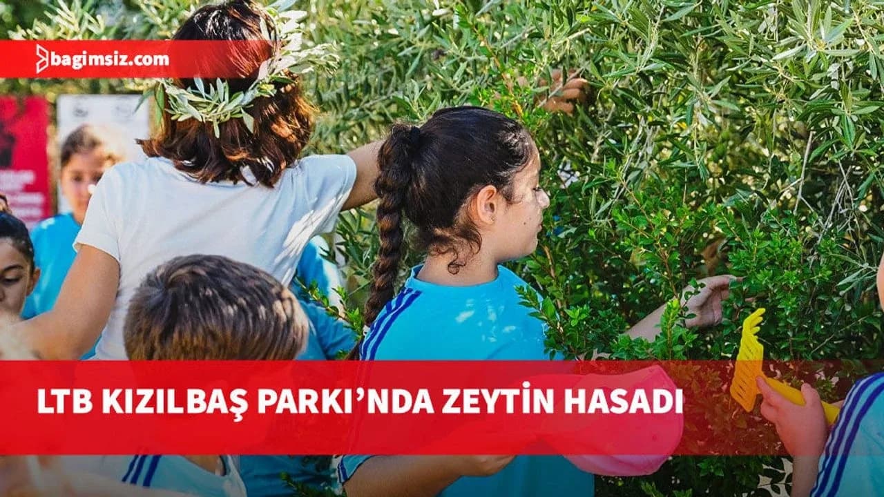 Öğrenciler LTB Kızılbaş Parkı’nda zeytin hasadı yaptı