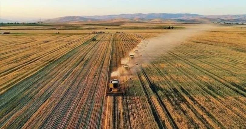 Üreticilere 15 Ekim’e kadar ek beyan süresi