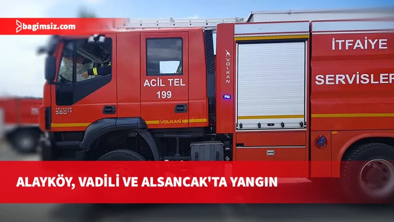 Alayköy, Vadili ve Alsancak'ta yangın: Maddi hasar meydana geldi