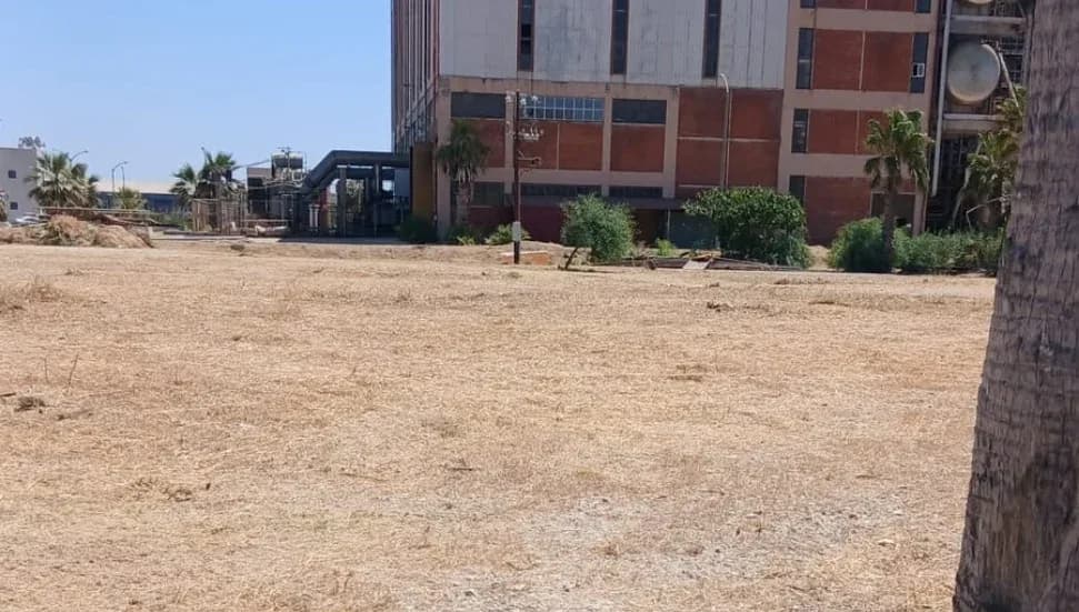 Kıb-Tek: İddialar gerçeği yansıtmıyor; Teknecik'te ot temizliği devam ediyor