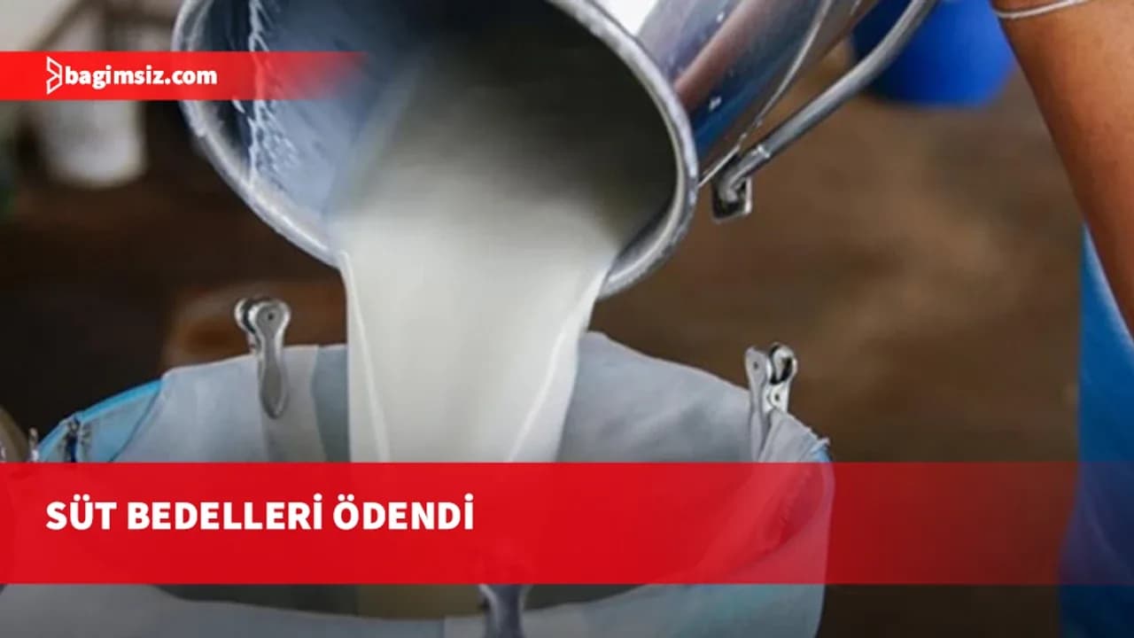 Süt bedelleri ödendi: Üreticilere 210 milyon 943 bin 127 TL ödeme yapıldı
