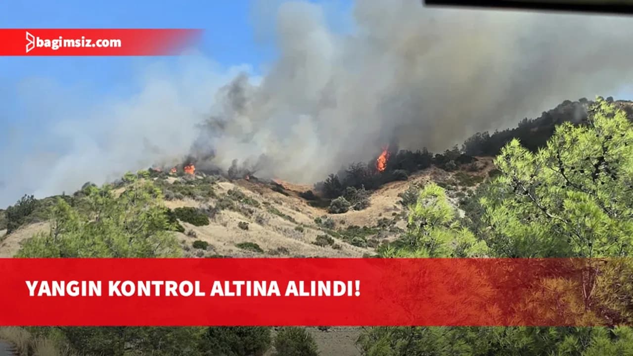 Yamaçköy - Tirmen Köyleri arasındaki ormanlık arazide çıkan yangın kontrol altına alındı