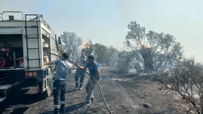 Tirmen’de orman yangını: Havadan ve karadan müdahaleyle söndürüldü