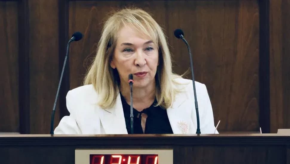 Filiz Besim: Tüp bebekte anonimliği devlet zorunlu kıldı, şimdi aileden kanıt istiyor