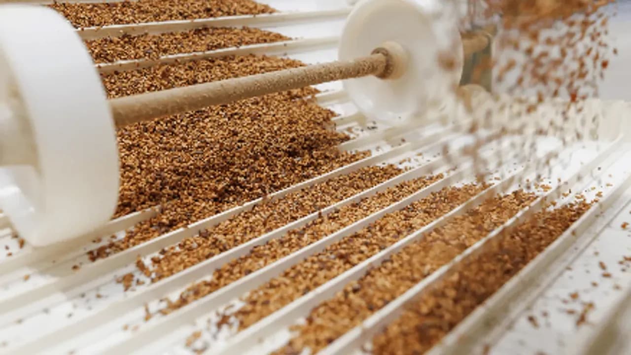 Tohum Temizleme Selektörü faaliyete geçti: Ücret 3,50 TL/kg