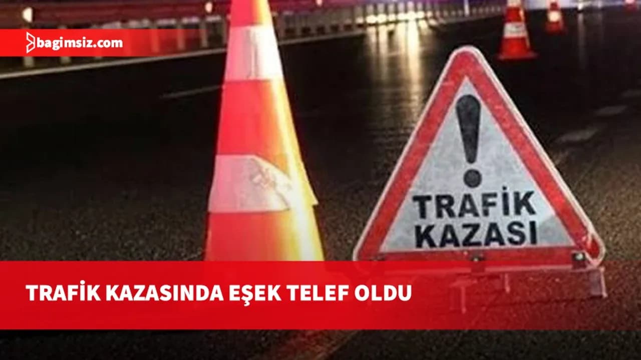 Yeşilköy-Erenköy anayolunda kaza: Çarpışma sonucu eşek olay yerinde telef oldu