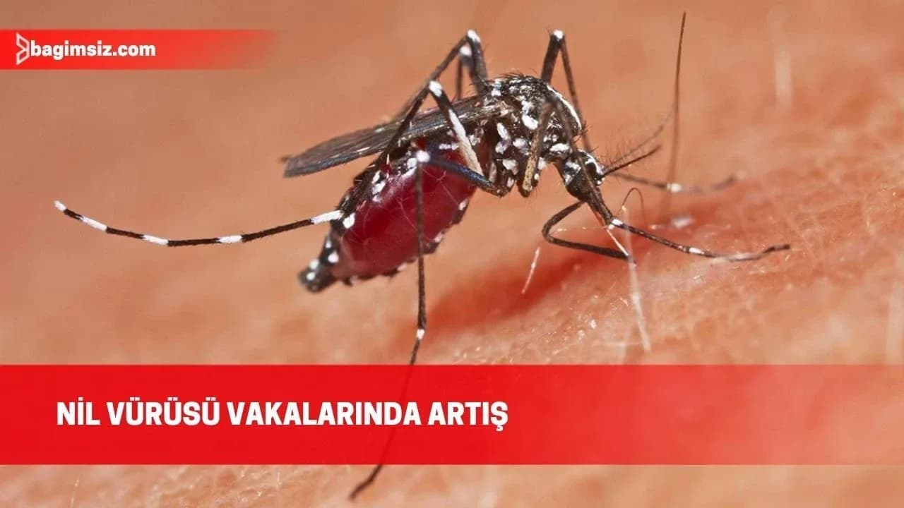 Batı Nil virüsünün yüksek dolaşım dönemi eylül sonuna kadar sürebilir