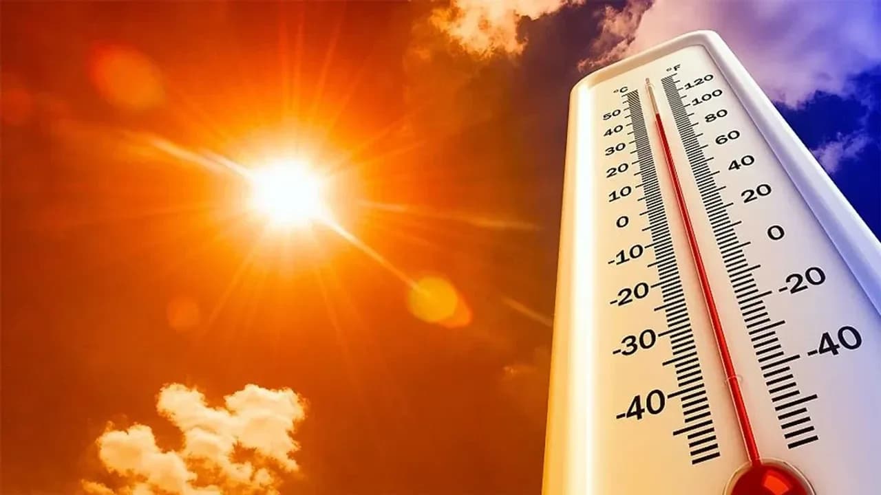 Sıcakta çalışma yasağını ihlal eden 19 iş yerine uyarı