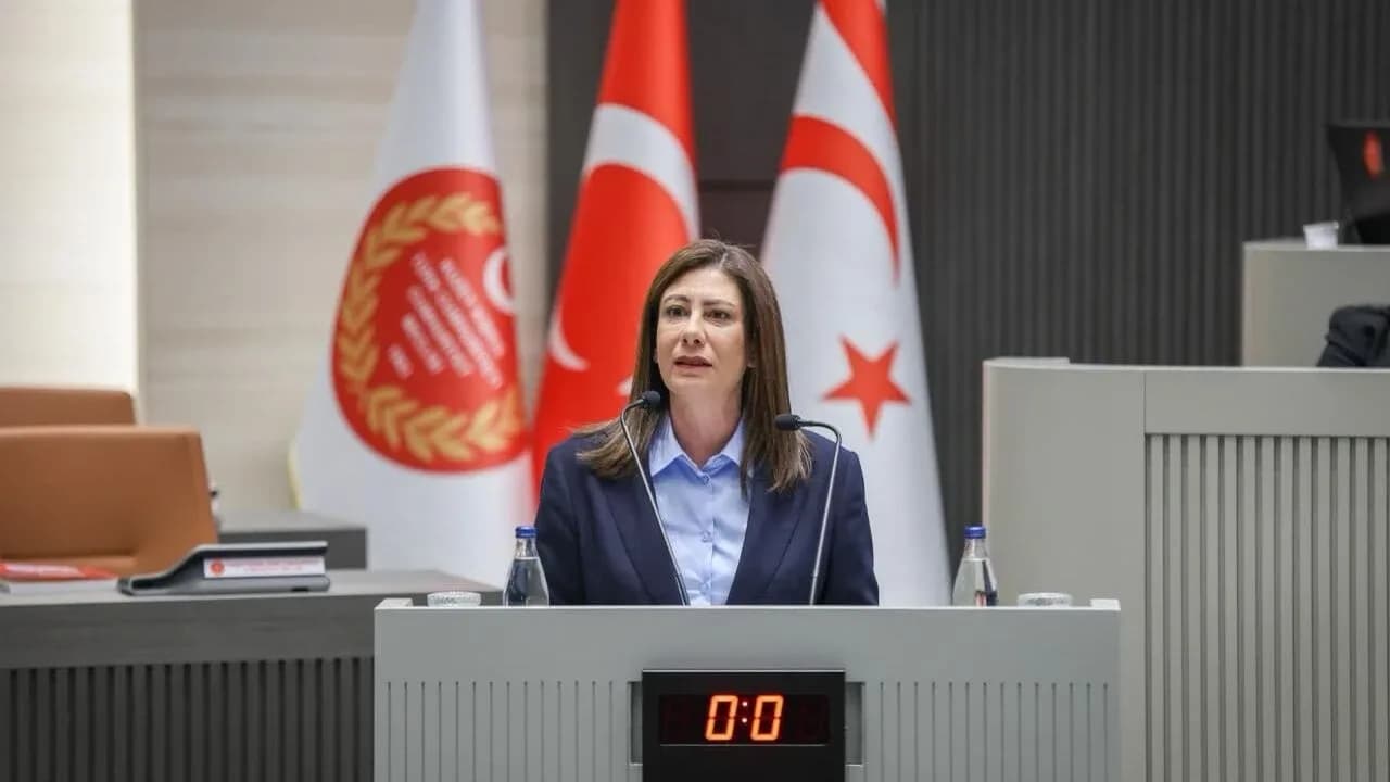 Sıla Usar İncirli’den “Toplum Güvenliği” İçin Olağanüstü Meclis Çağrısı