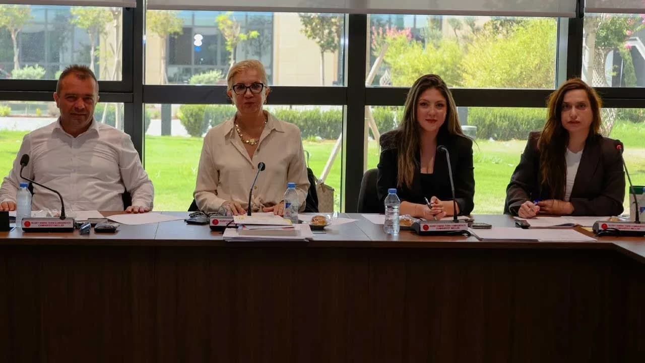 Kamu Mali Yönetimi ve Kontrol (Değişiklik) Yasa Tasarısı görüşüldü