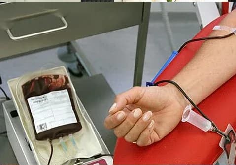 Kuzey Kıbrıs Thalassaemia Derneği, Türkiye'den derneklerin de katılımıyla ortak yaz kampı düzenliyor