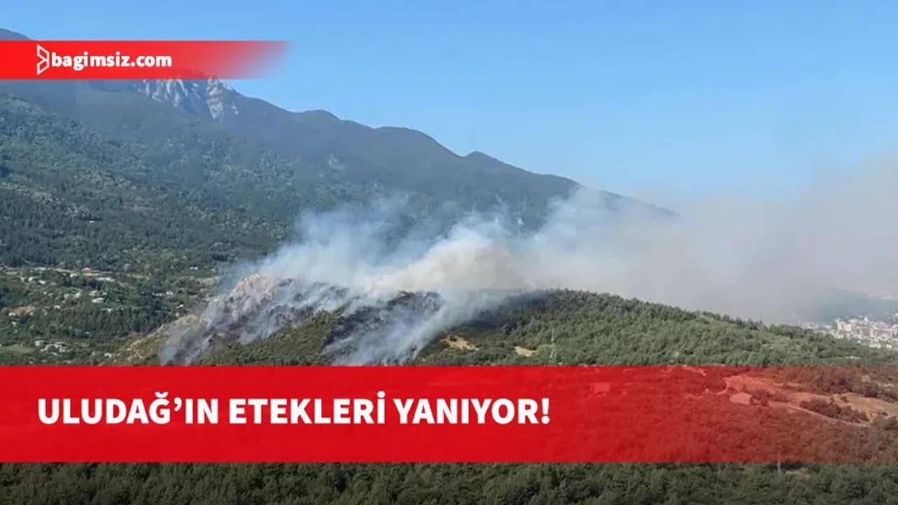 Uludağ’ın eteklerinde alevler yükseldi: Çam ormanları yanıyor!