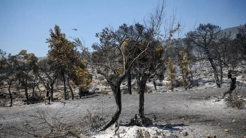 Yunanistan’da Attiki ve Voiotia’daki yangında 111 bin 732 dönüm kül oldu