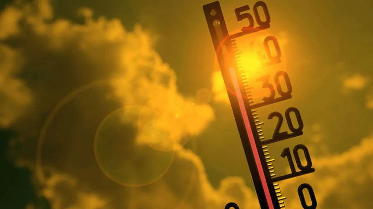 Hava sıcaklığı 40 derece dolaylarında