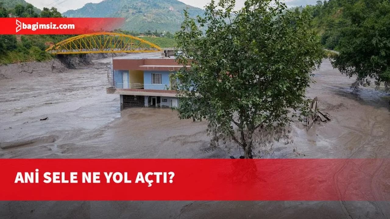 Dev buz kütlesi koptu, sel 10 dakikada 20 kilometre ilerledi