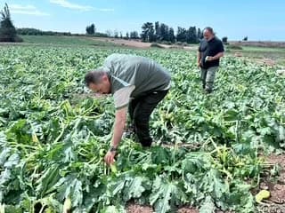 Çavuş, Güneşköy ve Aydınköy’de olumsuz hava koşullarının etkilerini inceledi