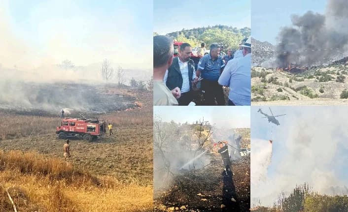 Büyümeden söndürüldü