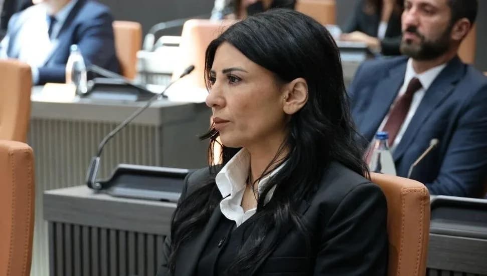 Fazilet Özdenefe: “Abi” siyaseti değil, ülkeyi yönetecek ciddiyet lazım