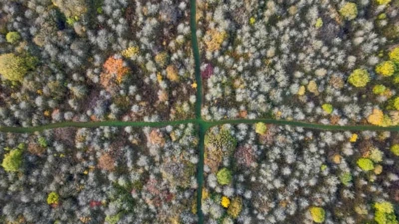 35 yıl önce terk ettiği tarlası öyle bir hale geldi ki: Kampanya başlatıldı