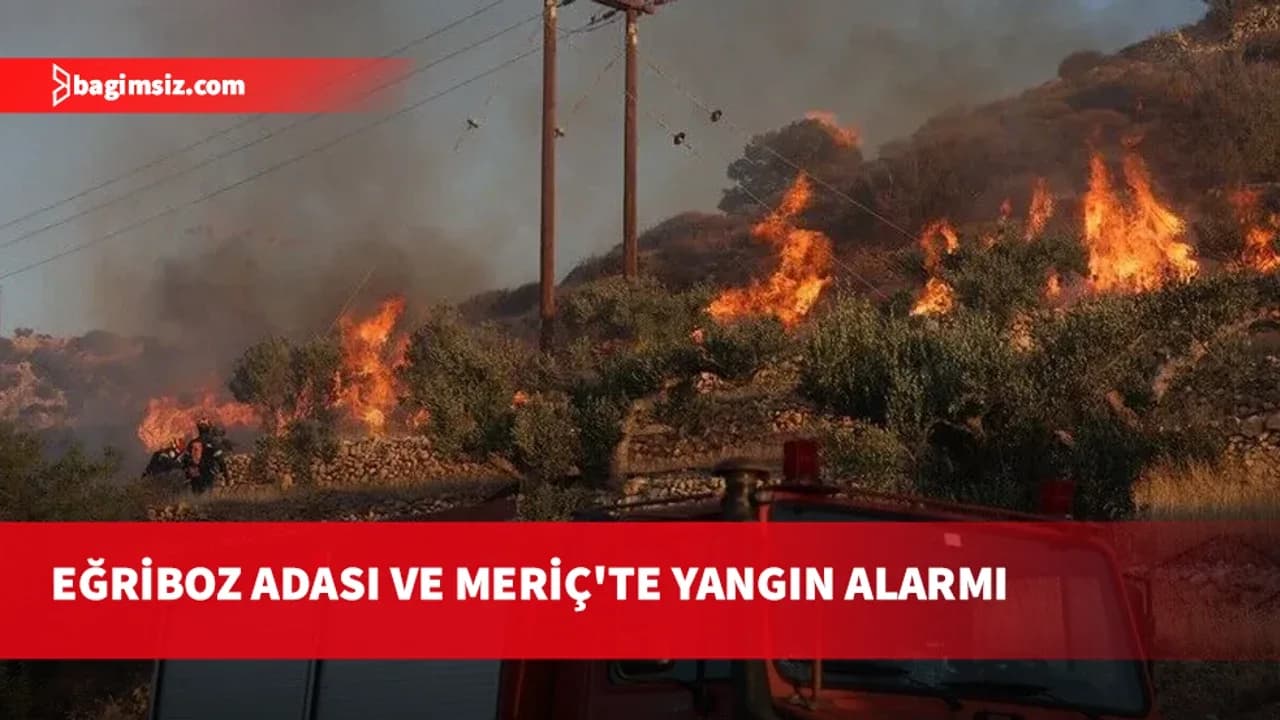Yunanistan'ın Eğriboz Adası ve Meriç ilinde orman yangınları çıktı