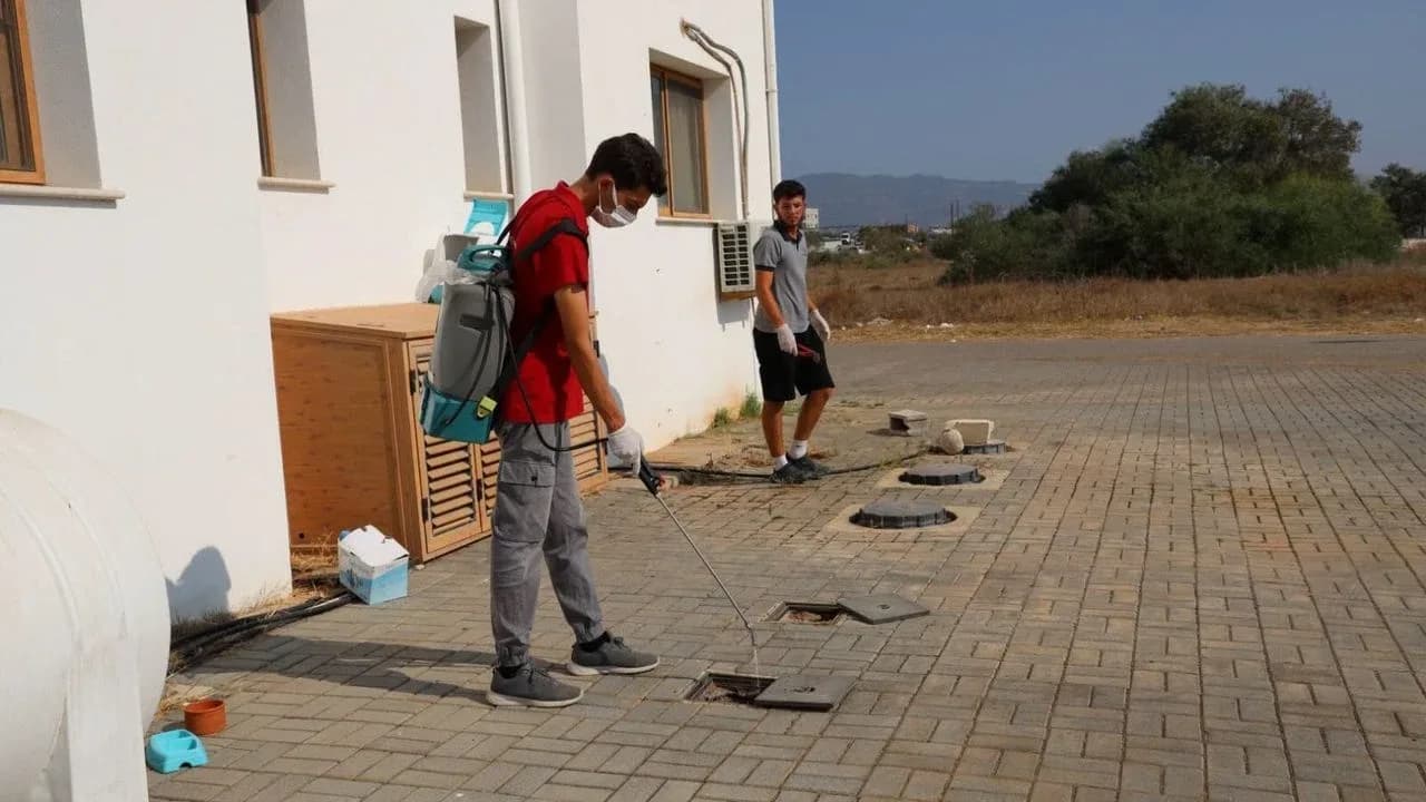 İskele’de haşereyle mücadelede ikinci etap