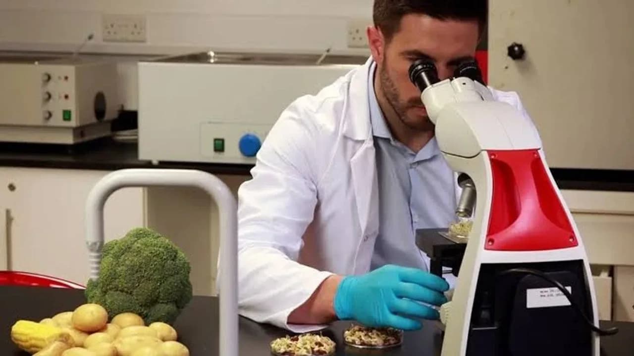 Gıda denetimlerinde molehiyada limit üstü bitki koruma ürünü tespit edildi