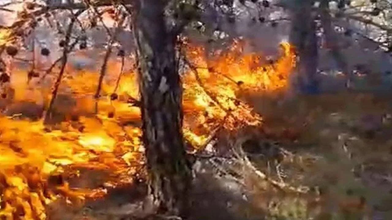 Bir haftada 18 yangın