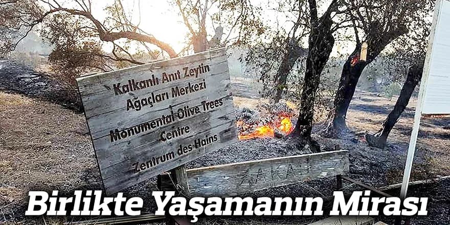 Birlikte Yaşamanın Mirası