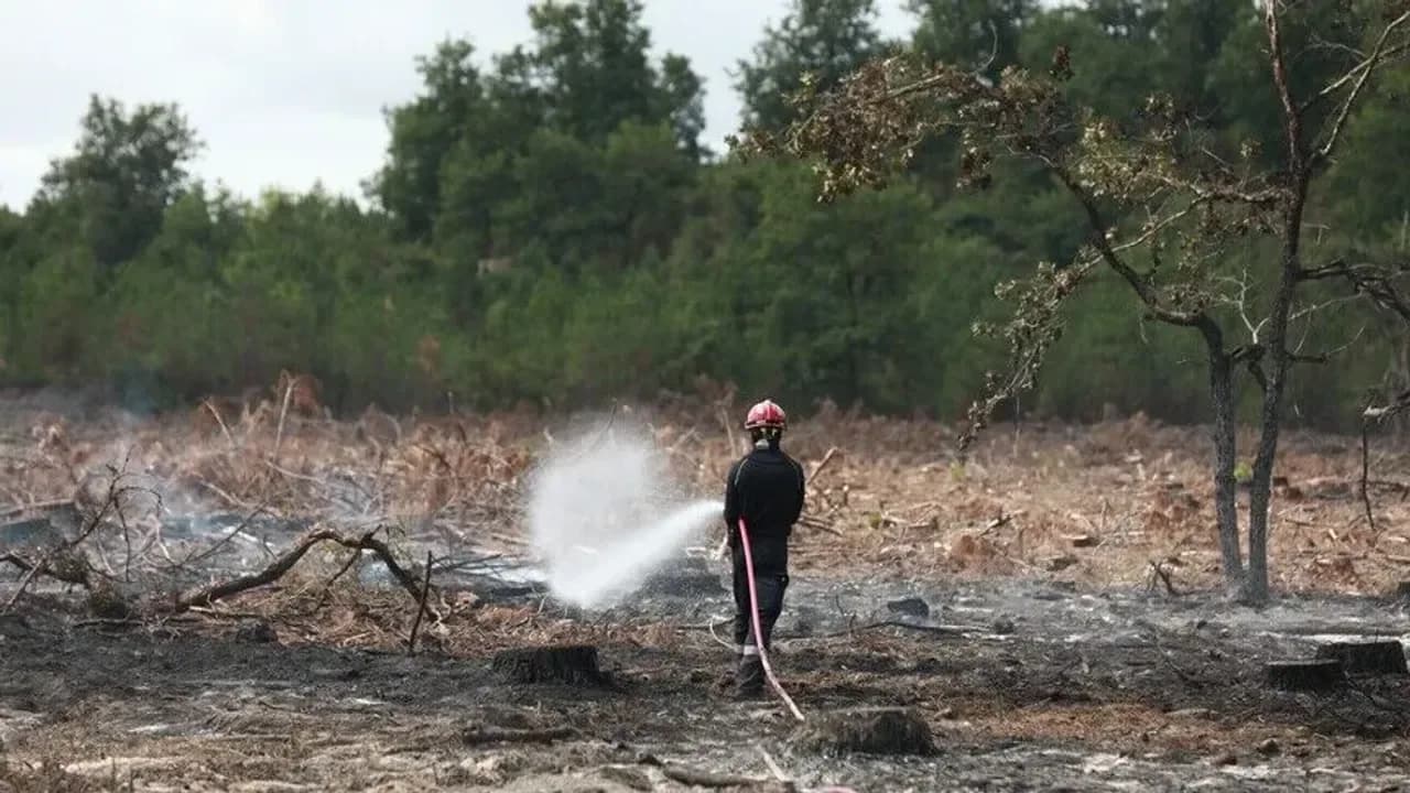 Fransa'nın Lozere vilayetinde ormanlık alanda çıkan yangında 250 hektarlık alan kül oldu