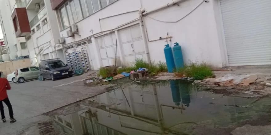 Lefke Çevre ve Ekoloji Derneği, yeniden foseptik birikimi tespit etti